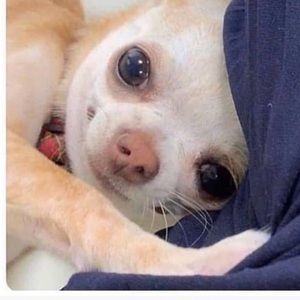 Meet your Posher, Mariah